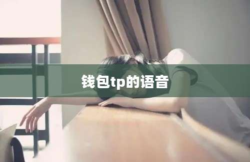 钱包tp的语音