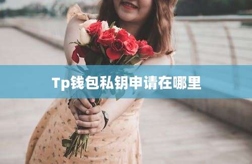 Tp钱包私钥申请在哪里