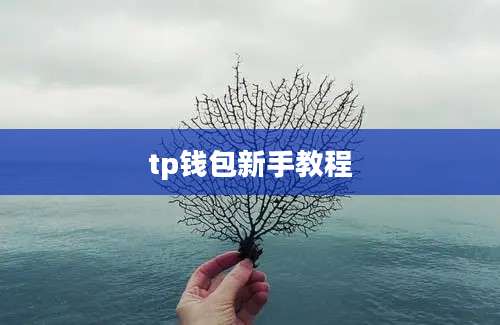 tp钱包新手教程