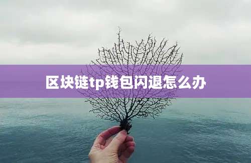 区块链tp钱包闪退怎么办