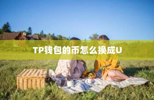 TP钱包的币怎么换成U