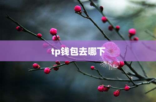 tp钱包去哪下