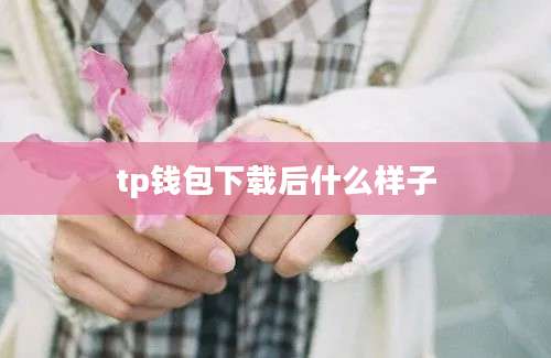 tp钱包下载后什么样子