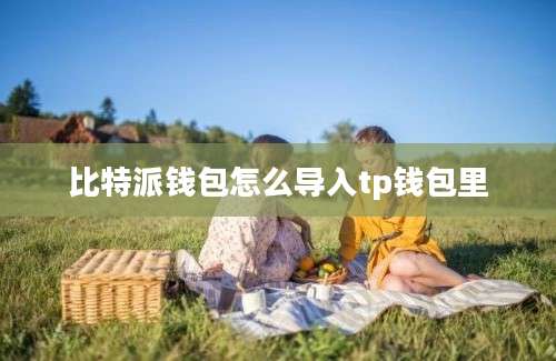 比特派钱包怎么导入tp钱包里
