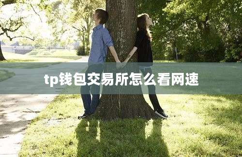 tp钱包交易所怎么看网速