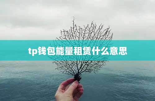 tp钱包能量租赁什么意思