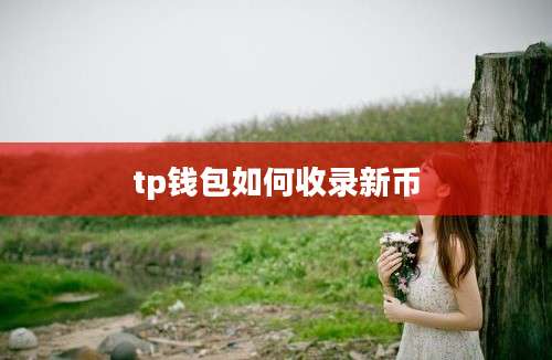 tp钱包如何收录新币