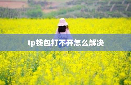 tp钱包打不开怎么解决