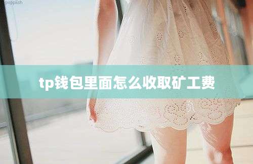 tp钱包里面怎么收取矿工费