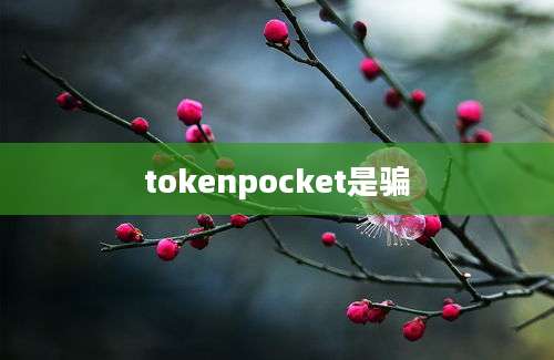 tokenpocket是骗