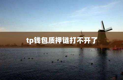 tp钱包质押链打不开了