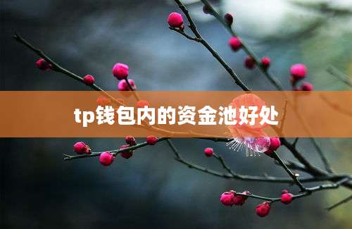 tp钱包内的资金池好处