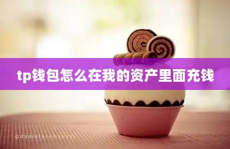 tp钱包怎么在我的资产里面充钱