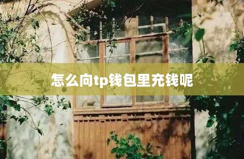 怎么向tp钱包里充钱呢