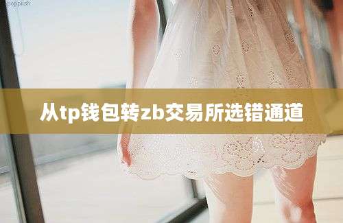 从tp钱包转zb交易所选错通道