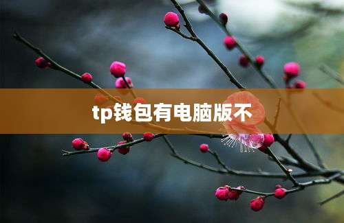 tp钱包有电脑版不