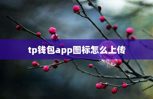 tp钱包app图标怎么上传