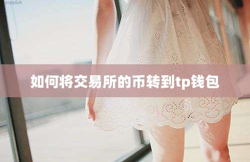 如何将交易所的币转到tp钱包