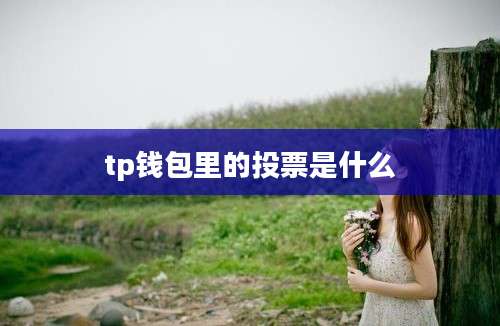 tp钱包里的投票是什么