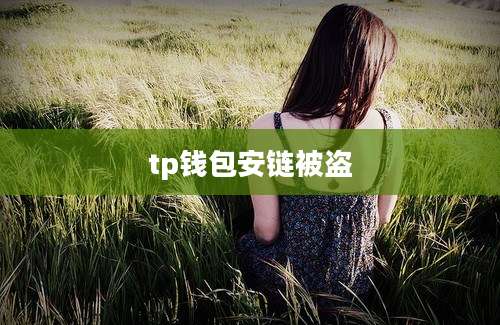 tp钱包安链被盗