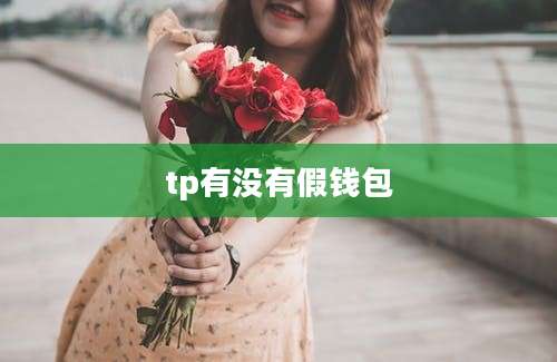 tp有没有假钱包