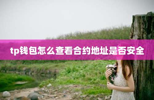 tp钱包怎么查看合约地址是否安全