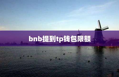 bnb提到tp钱包限额