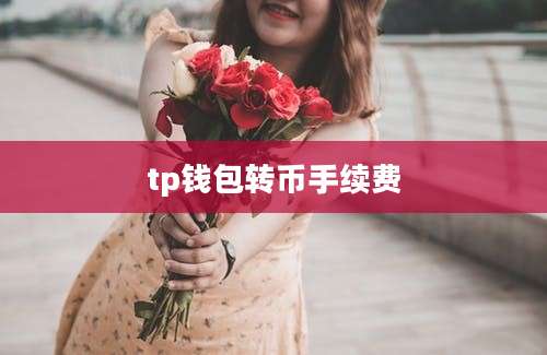 tp钱包转币手续费