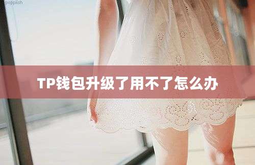 TP钱包升级了用不了怎么办