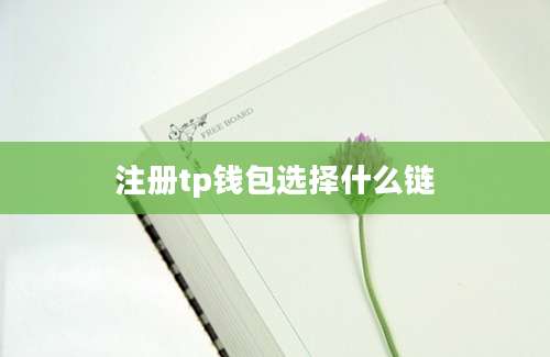 注册tp钱包选择什么链