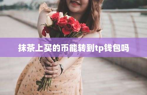 抹茶上买的币能转到tp钱包吗