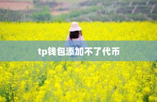 tp钱包添加不了代币