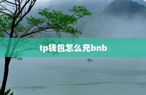 tp钱包怎么充bnb