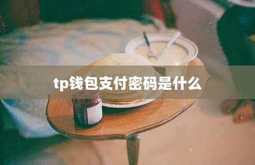 tp钱包支付密码是什么