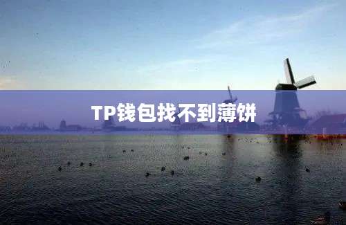 TP钱包找不到薄饼