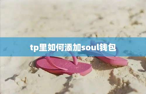 tp里如何添加soul钱包