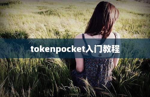 tokenpocket入门教程