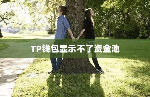 TP钱包显示不了资金池