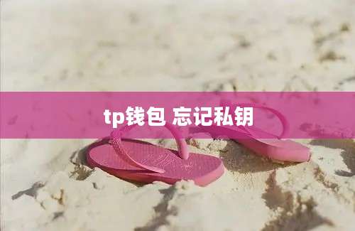 tp钱包 忘记私钥