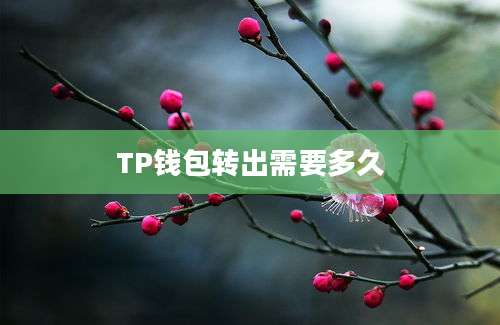 TP钱包转出需要多久