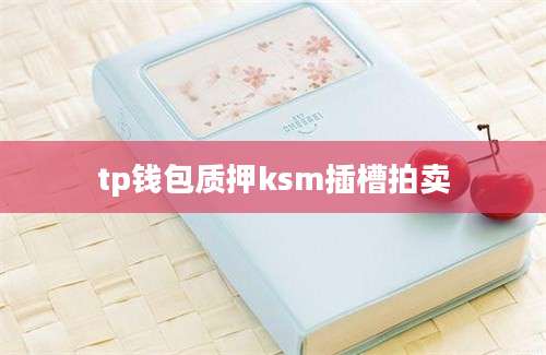 tp钱包质押ksm插槽拍卖