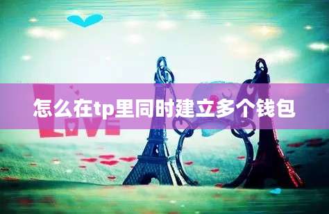 怎么在tp里同时建立多个钱包