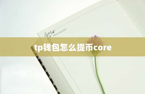 tp钱包怎么提币core