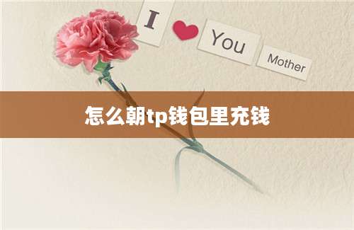 怎么朝tp钱包里充钱