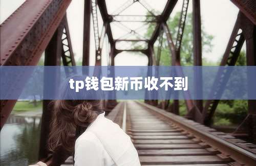 tp钱包新币收不到