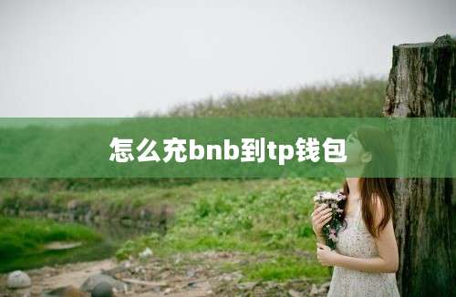 怎么充bnb到tp钱包