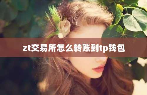 zt交易所怎么转账到tp钱包