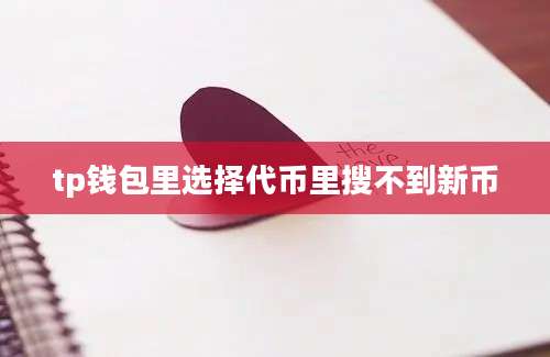 tp钱包里选择代币里搜不到新币