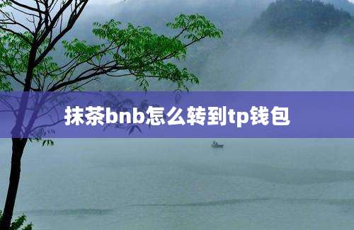 抹茶bnb怎么转到tp钱包