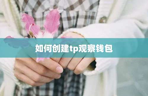 如何创建tp观察钱包
